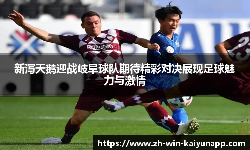 新泻天鹅迎战岐阜球队期待精彩对决展现足球魅力与激情