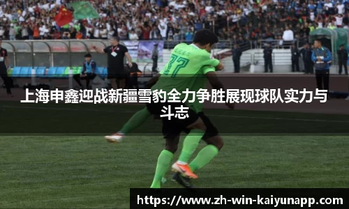 上海申鑫迎战新疆雪豹全力争胜展现球队实力与斗志
